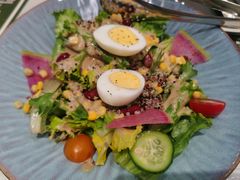 蔬菜田园煮蛋沙拉-西语·炭烧牛排(卓越中寰店)