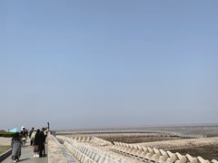 -南汇嘴观海公园