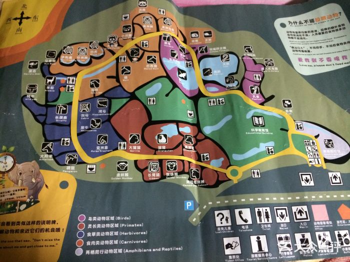 上海动物园导游图图片 - 第43121张