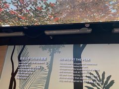 -山顶缆车