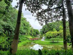 -东莞植物园