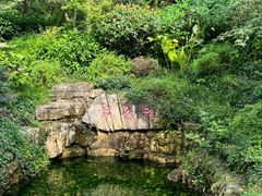 -杭州花家山庄