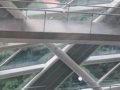 -凤凰中心