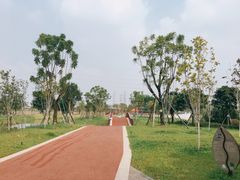 -王借岗森林公园