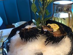 -小平岛開海水饺(浑南店)