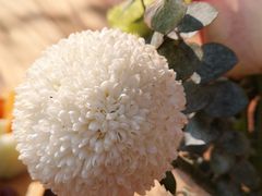 -悦哉·派对·草坪婚礼·围炉煮茶(三圣乡店)