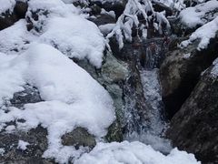 -安吉龙王山风景区