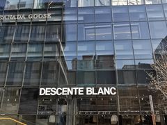 -迪桑特DESCENTE(北京三里屯BLANC店)