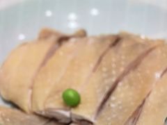 -新吉士·上海菜(浦东LCM置汇旭辉店)