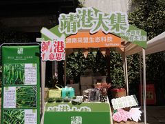 -靖港古镇