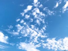 -北京拉斐特城堡酒店