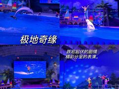 -海合安武汉极地海洋公园