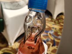 -上海闵行星河湾酒店