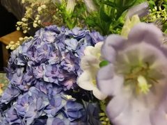 -双季花艺园艺市场(浦东店)