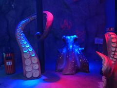 -贝壳梦幻世界