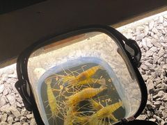 -DGE季风钓虾营地·团建·聚会