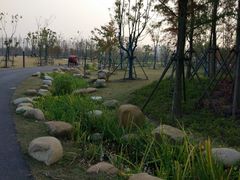 -上海长兴岛郊野公园