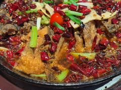 -老板恋上鱼(恒隆广场店)