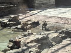 -北宫国家森林公园