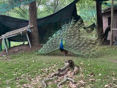 -华东政法大学(松江校区)