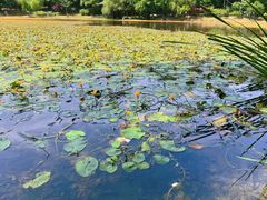 -南京维景国际大酒店(南京博物院店)