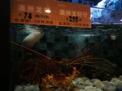 -官也街澳门火锅(新源里店)