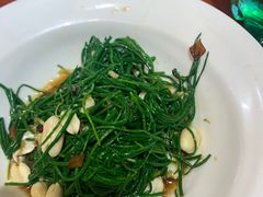 -老阿妈蒙古村·蒙古包·草原文化·歌舞表演(老君堂店)