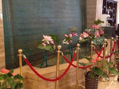 大堂-紫玉御骊酒店