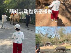 -深圳野生动物园