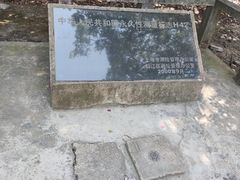 -上海佘山国家森林公园天马山园