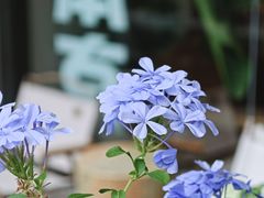 -Beans Solo豆号咖啡(百家湖花园店)