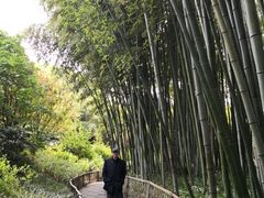 -汇龙潭