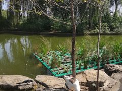 -莲花池公园
