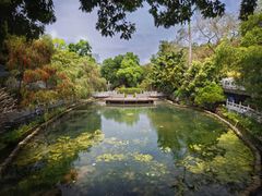 -国恩寺