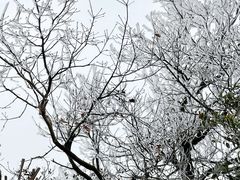 -长沙黑麋峰国家森林公园