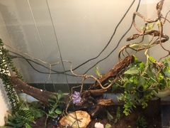 -打趸BTC·Breaktime cafe(北京路店)