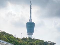 -梧桐山风景名胜区