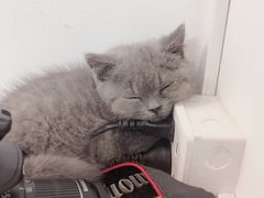 -iF摄影•全家福•证件照•形象照(南山店)