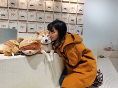 -柴务处·柴犬主题狗咖