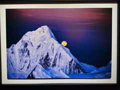 -罗红摄影艺术馆