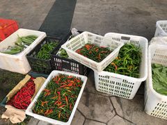 -大蓉和(双楠店)