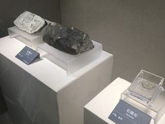 -安徽省地质博物馆