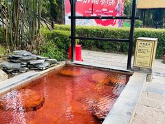 -崇阳三特浪口温泉