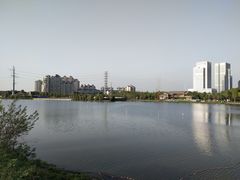 -金银湖国家城市湿地公园