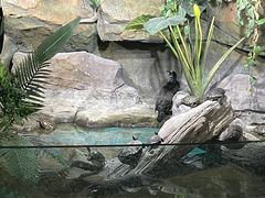 -重庆欢乐海底世界