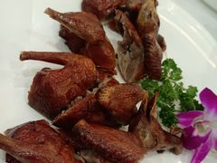 红烧乳鸽-顺德人家食府(黄金广场店)