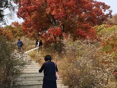 -寒同山神仙洞