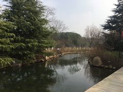 -白马涧龙池景区