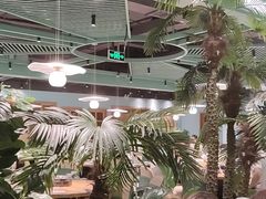 -春润大地海南椰子鸡(沙井京基百纳广场店)