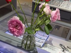 -ALPS阿尔卑斯眼镜(我格广场店)